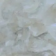 61oSの画像