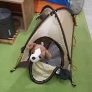pontaの画像