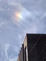 しいやの画像