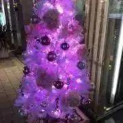 みゆ　プロフィールご覧下さいませの画像