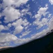 グラ次郎の画像