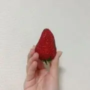 みーの画像