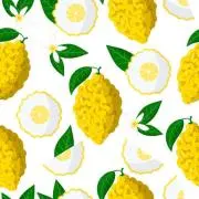 Citron＊の画像