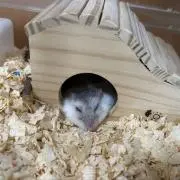 a〜yaの画像