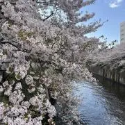 さちの画像