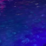 pomepu〜の画像