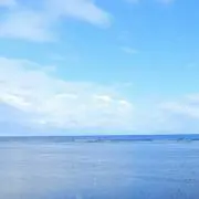 M'sの画像