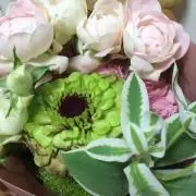 はな☆はな