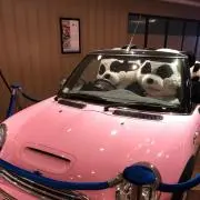 笹の画像