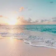 sakuの画像