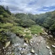 やの画像