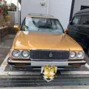 モツ煮込み定食