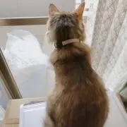 べの画像