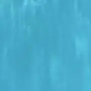 Pomの画像