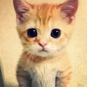 のちち☆プロフィールご確認ください☆