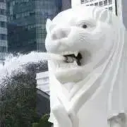 ㅇㅇㅇ