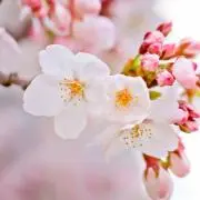 みなと(プロフィールをご確認ください)の画像