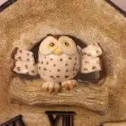 ニコの画像