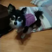 ランド