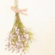 ❁しゅり❁