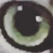 いちにさん
