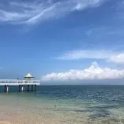 サチコの画像