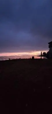 nr.msの画像