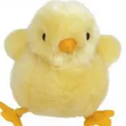 ぽめの画像