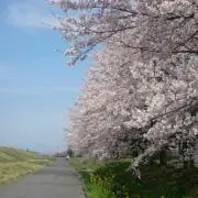 ごっつ