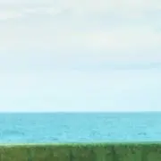 ユン