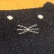 たこちんの画像