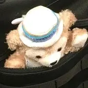 ネフの画像