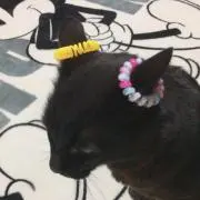 えみ