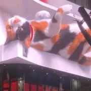 ー出品停止中ー