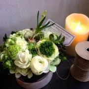 roseの画像