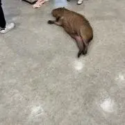 なかの画像
