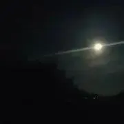 おこたの画像