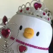 カモヒメの画像