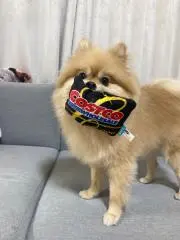 Rudi’s Martの画像