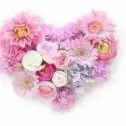 ☆☆☆_loveの画像