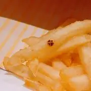 アカツキの画像