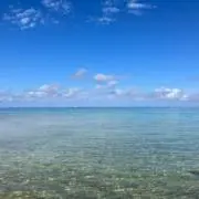 みーなの画像