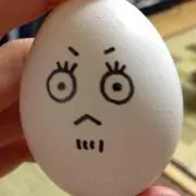 りぴた