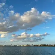 ひめなの画像