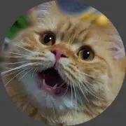 もっちー