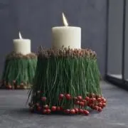 •ᴥ•の画像