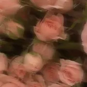 piの画像