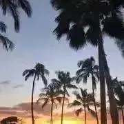 lei★プロフご一読お願いします♡の画像