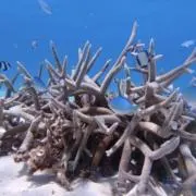 ひろの画像