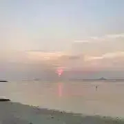 nomの画像